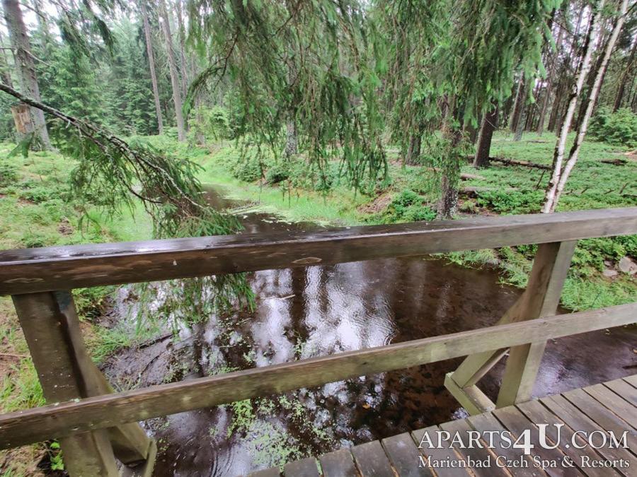 Apartment Grun Wald Mariánské Lázně Eksteriør billede