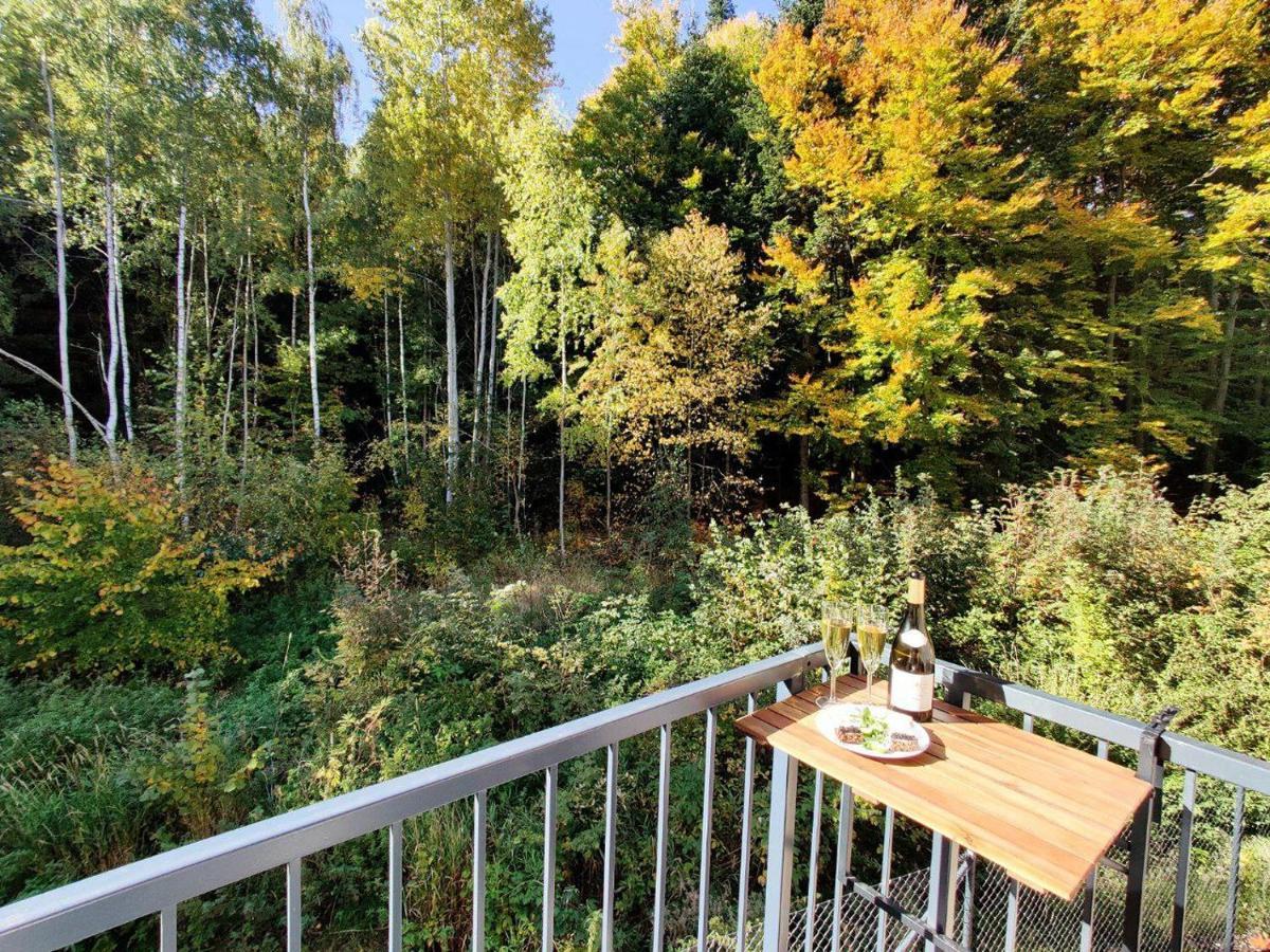 Apartment Grun Wald Mariánské Lázně Eksteriør billede