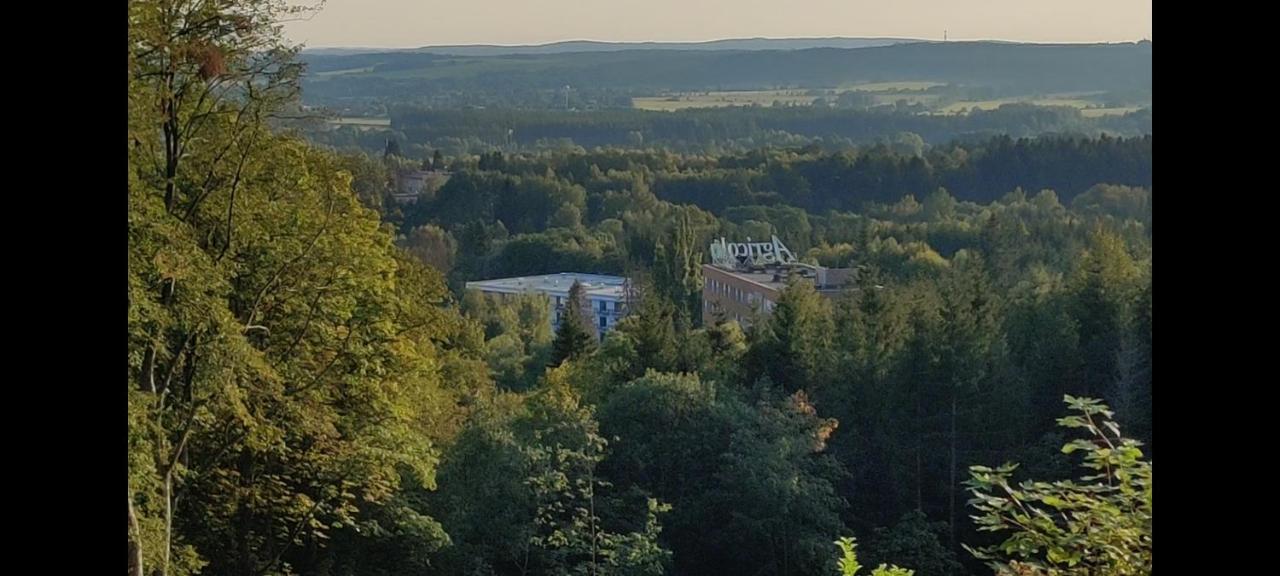 Apartment Grun Wald Mariánské Lázně Eksteriør billede